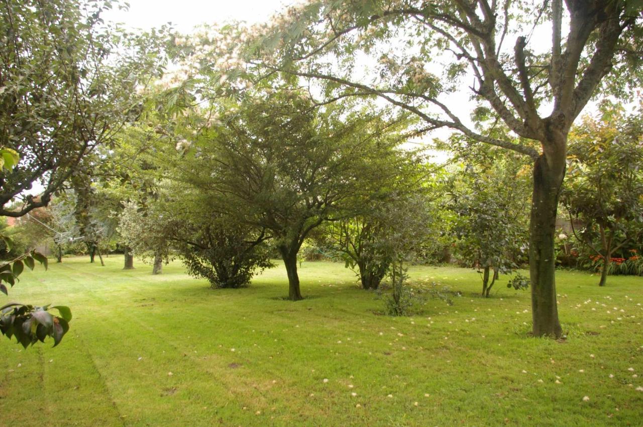 Villa Vivienda Tradicional Con Jardin Y Patio Interior Villanueva De Arosa Esterno foto