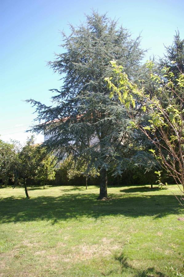 Villa Vivienda Tradicional Con Jardin Y Patio Interior Villanueva De Arosa Esterno foto